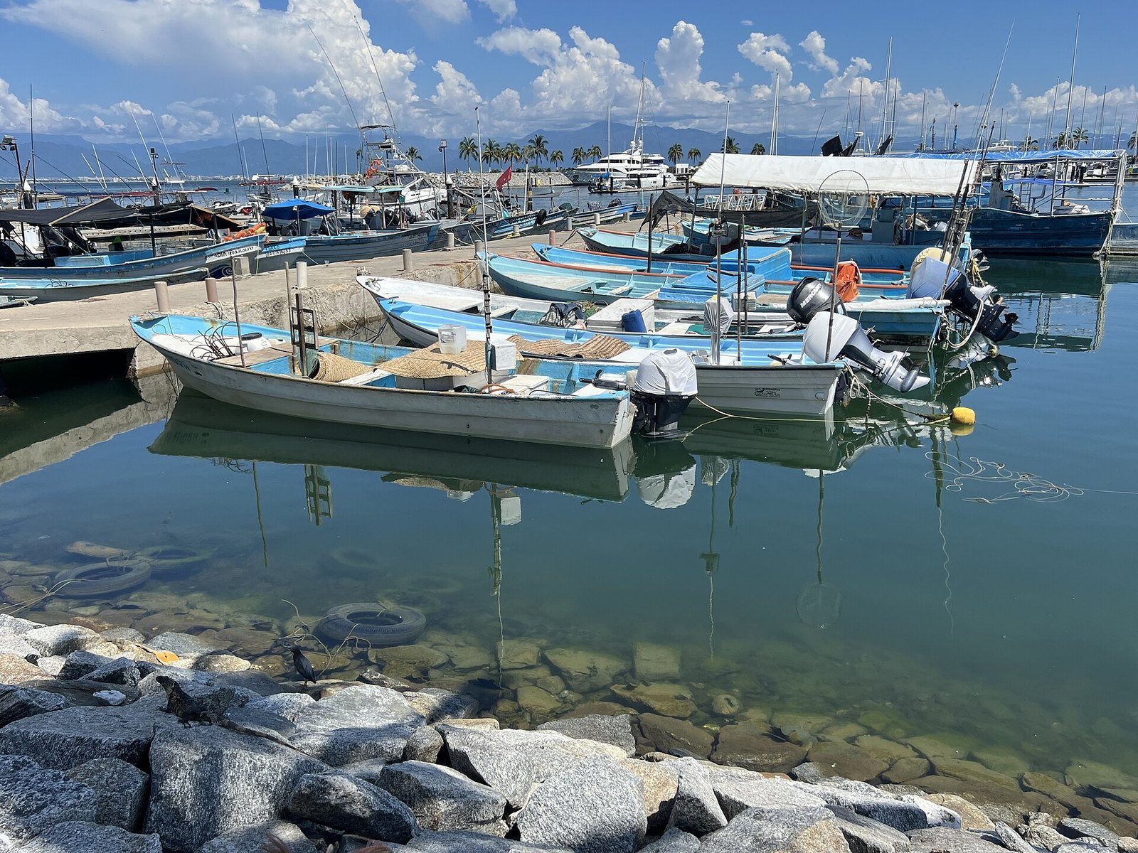 Lanchas de pescadores amarradas en un muelle de la Bahía de Banderas, con veleros al fondo