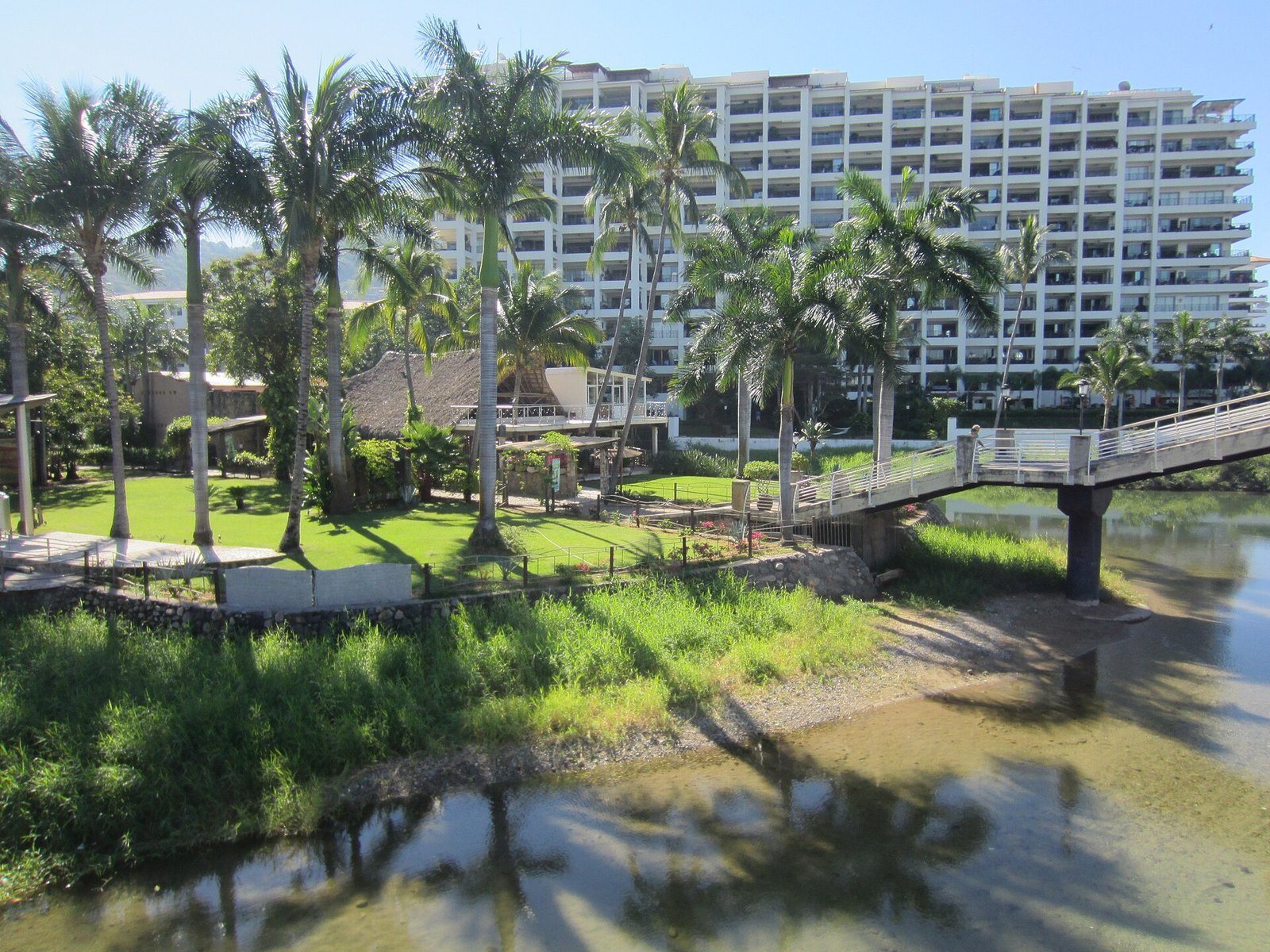 Río Cuale cerca de su desembocadura en la Bahía de Banderas, con palmeras y un puente peatonal
