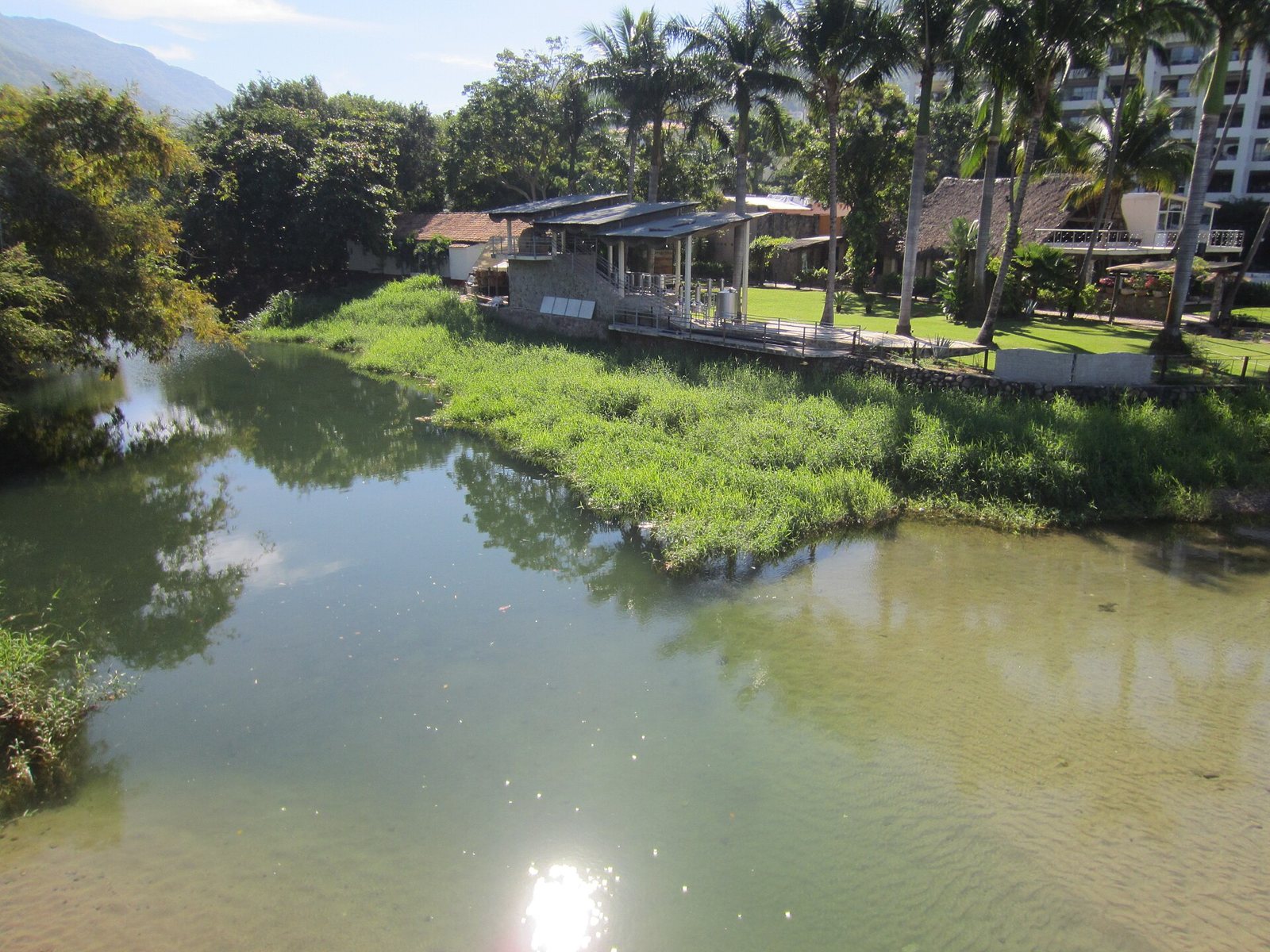 Río Cuale con orillas verdes y palmeras cerca de su desembocadura en Puerto Vallarta