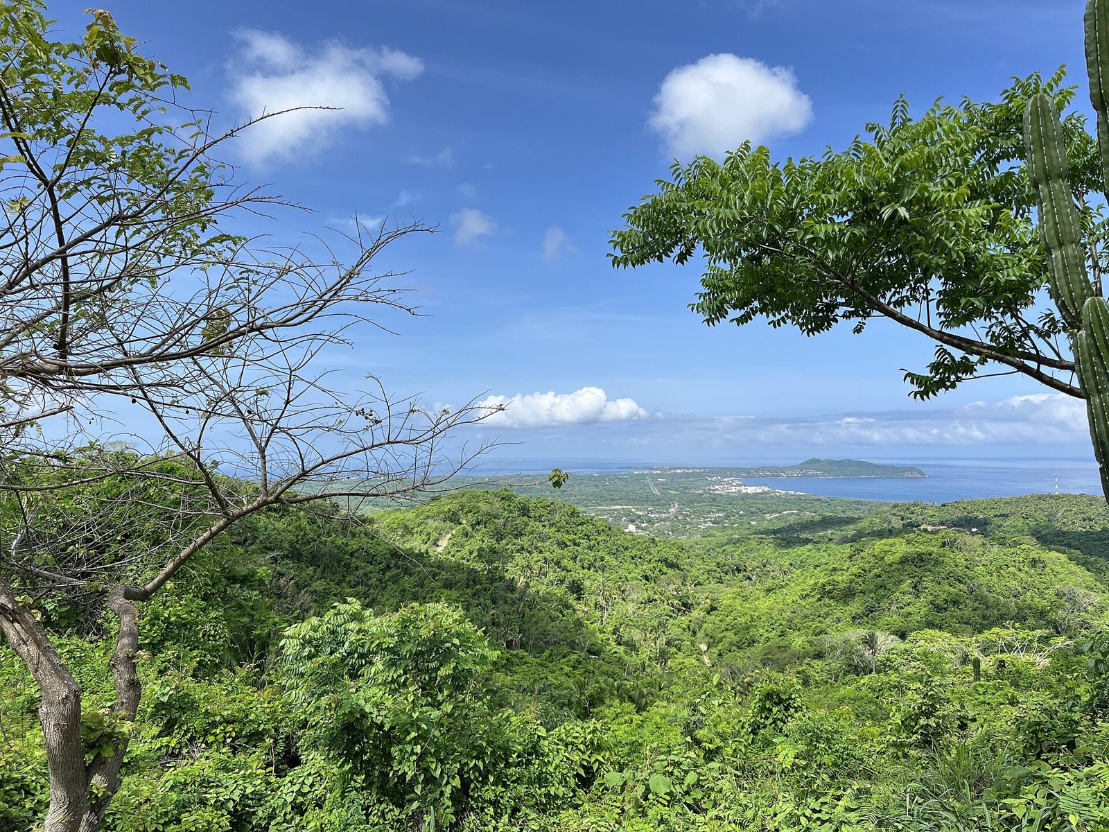 Vista desde un cerro con vegetación verde hacia la Bahía de Banderas, con una península al fondo y el mar azul
