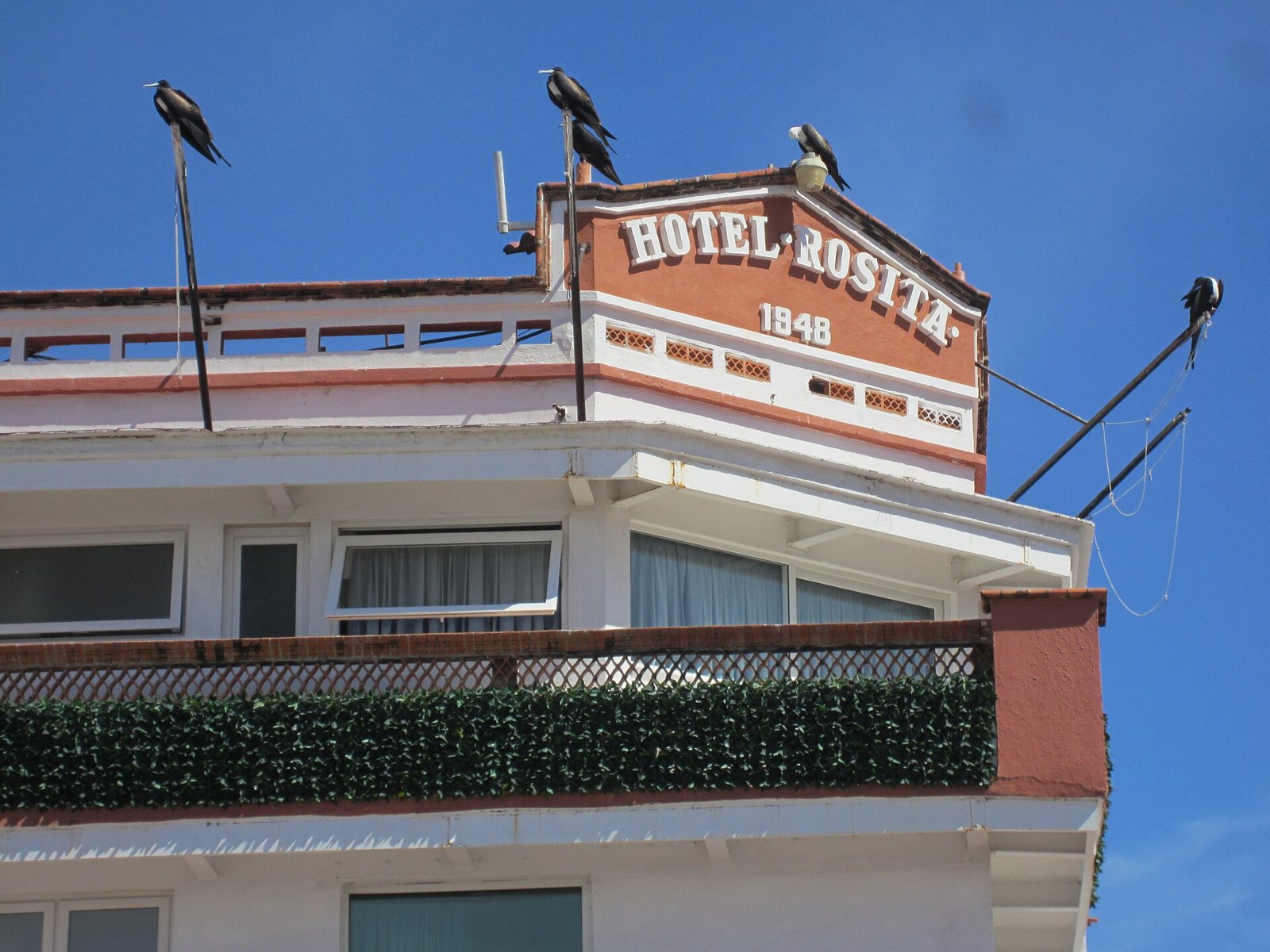 Remate de la fachada del Hotel Rosita con el nombre y el año 1948 en letras blancas, con fragatas posadas en los postes del techo y cielo azul