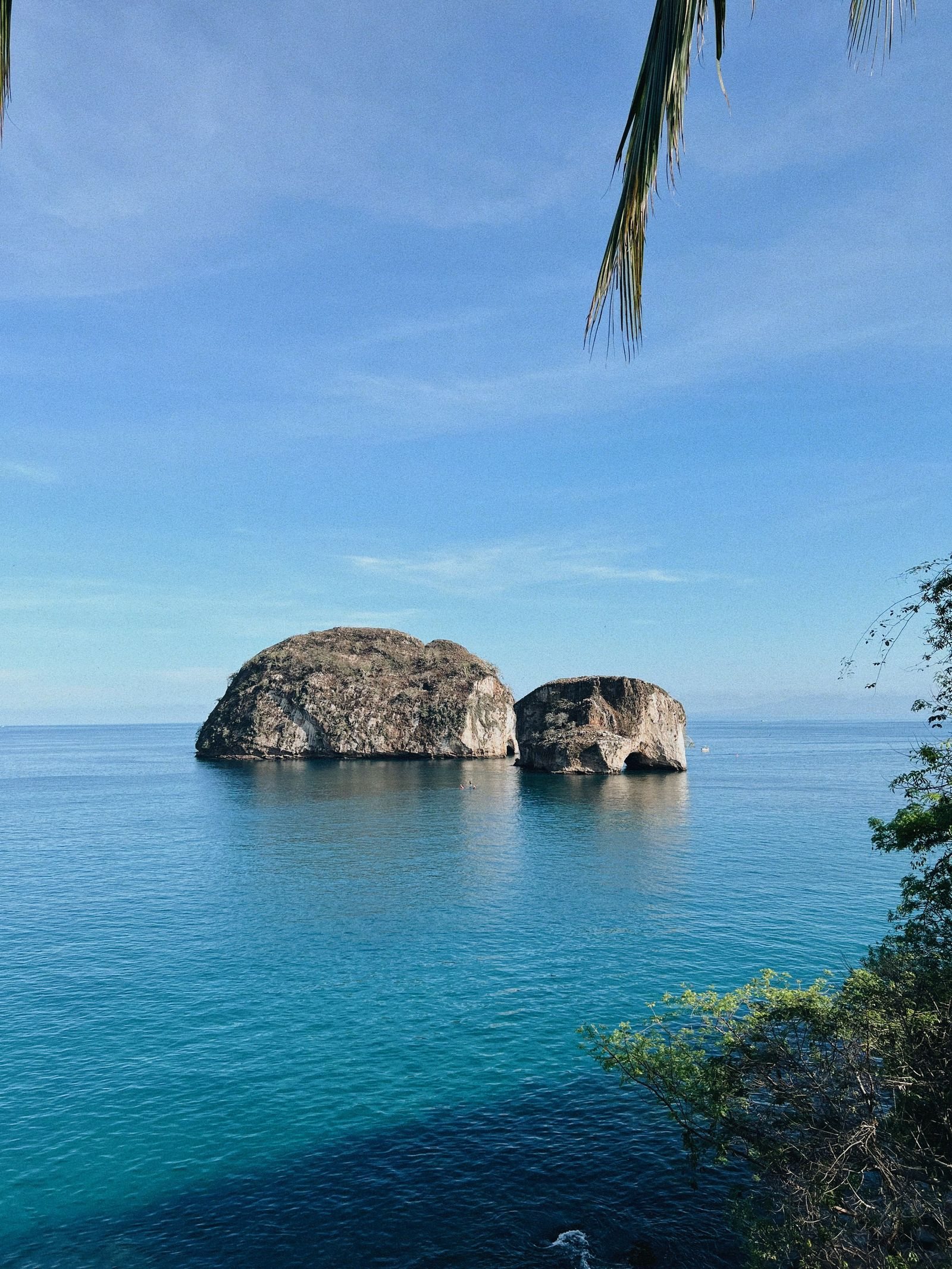 Dos rocas de Los Arcos en el mar azul vistas desde la costa entre ramas y hojas de palma