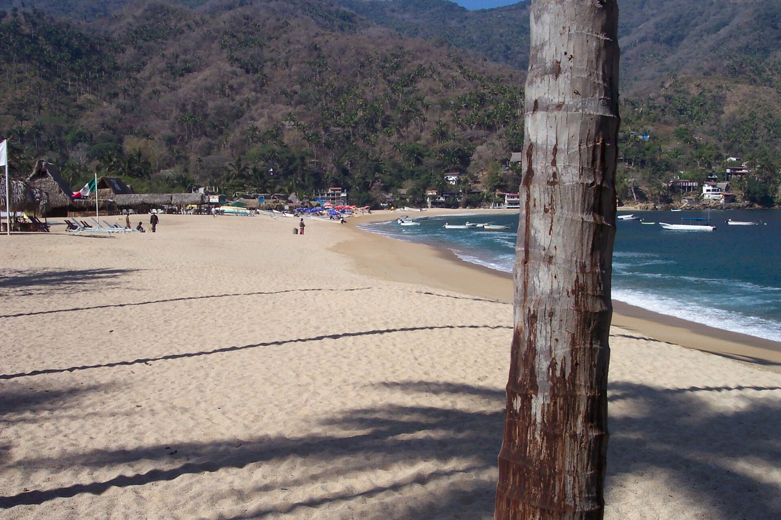 Playa de Yelapa de arena amplia con un tronco de palmera en primer plano, lanchas en el agua y casas entre los cerros